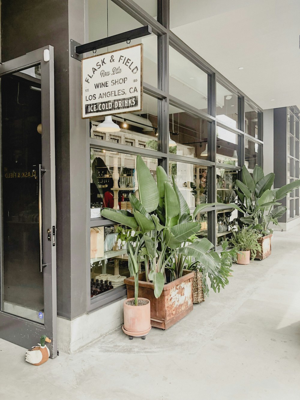 green-leafed plants outside store front