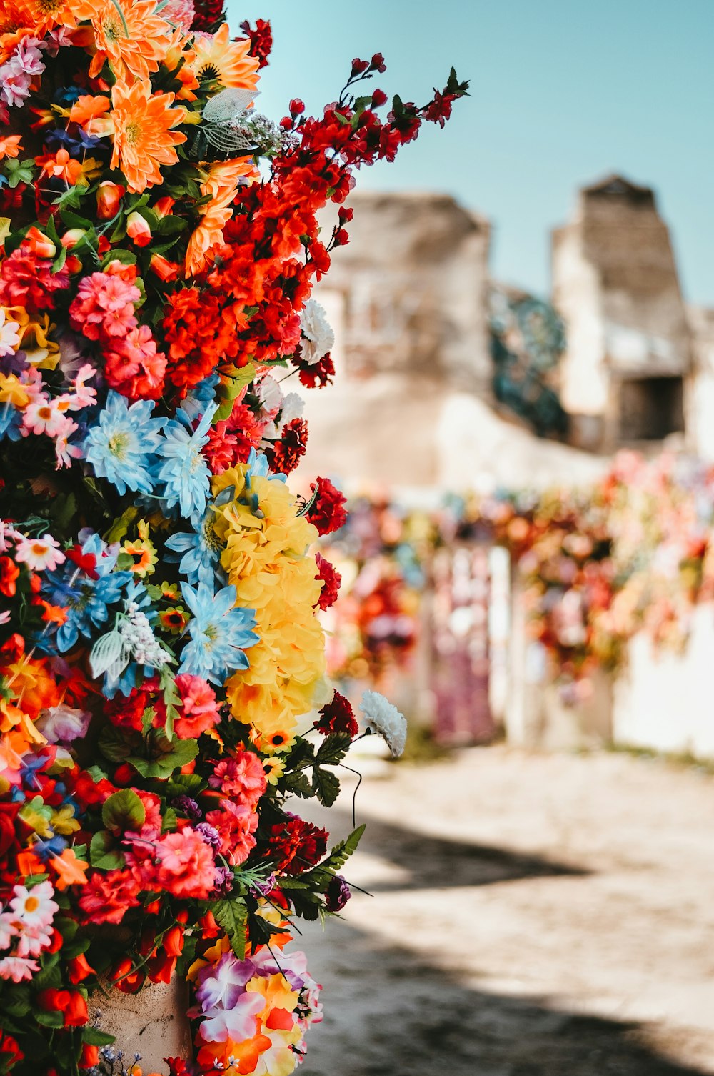 色とりどりの花のクローズアップ写真