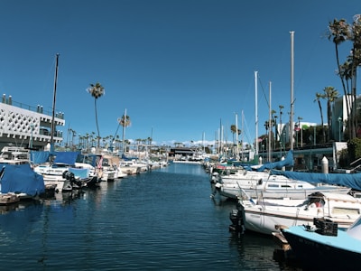 Yachts and boats are docked at a marina flanked by palm trees, with clear blue skies above. A modern building with a geometric facade lines one side of the marina, and a variety of boats are covered with blue tarps.