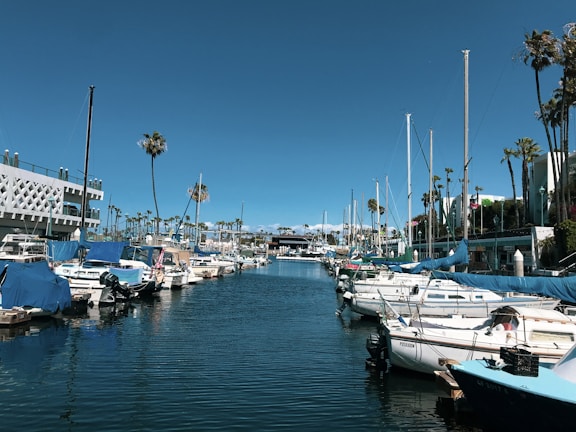 Yachts and boats are docked at a marina flanked by palm trees, with clear blue skies above. A modern building with a geometric facade lines one side of the marina, and a variety of boats are covered with blue tarps.