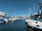 Yachts and boats are docked at a marina flanked by palm trees, with clear blue skies above. A modern building with a geometric facade lines one side of the marina, and a variety of boats are covered with blue tarps.