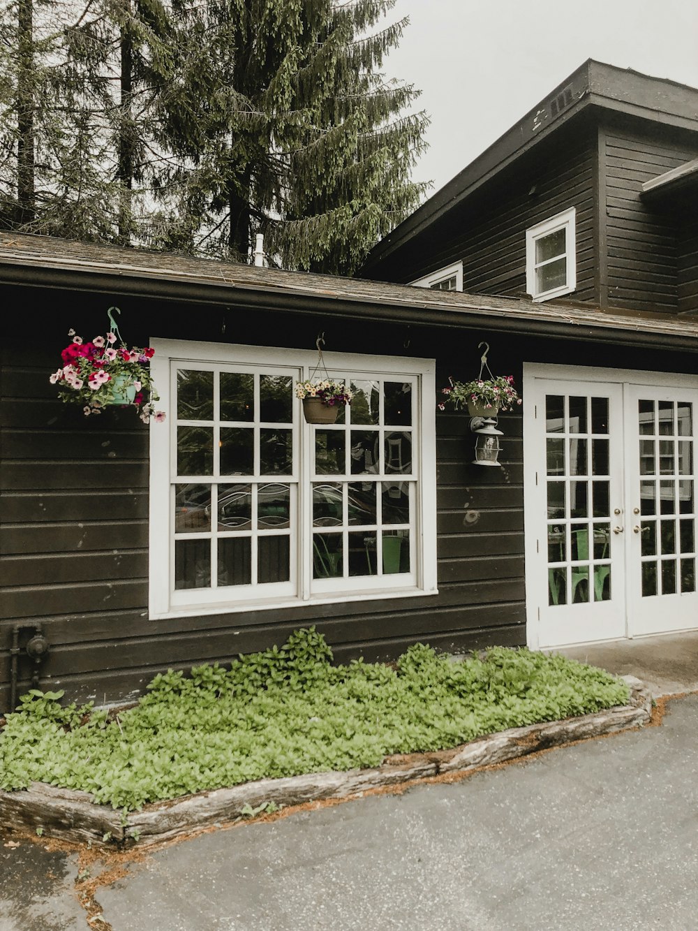 brown wooden house near pine trees