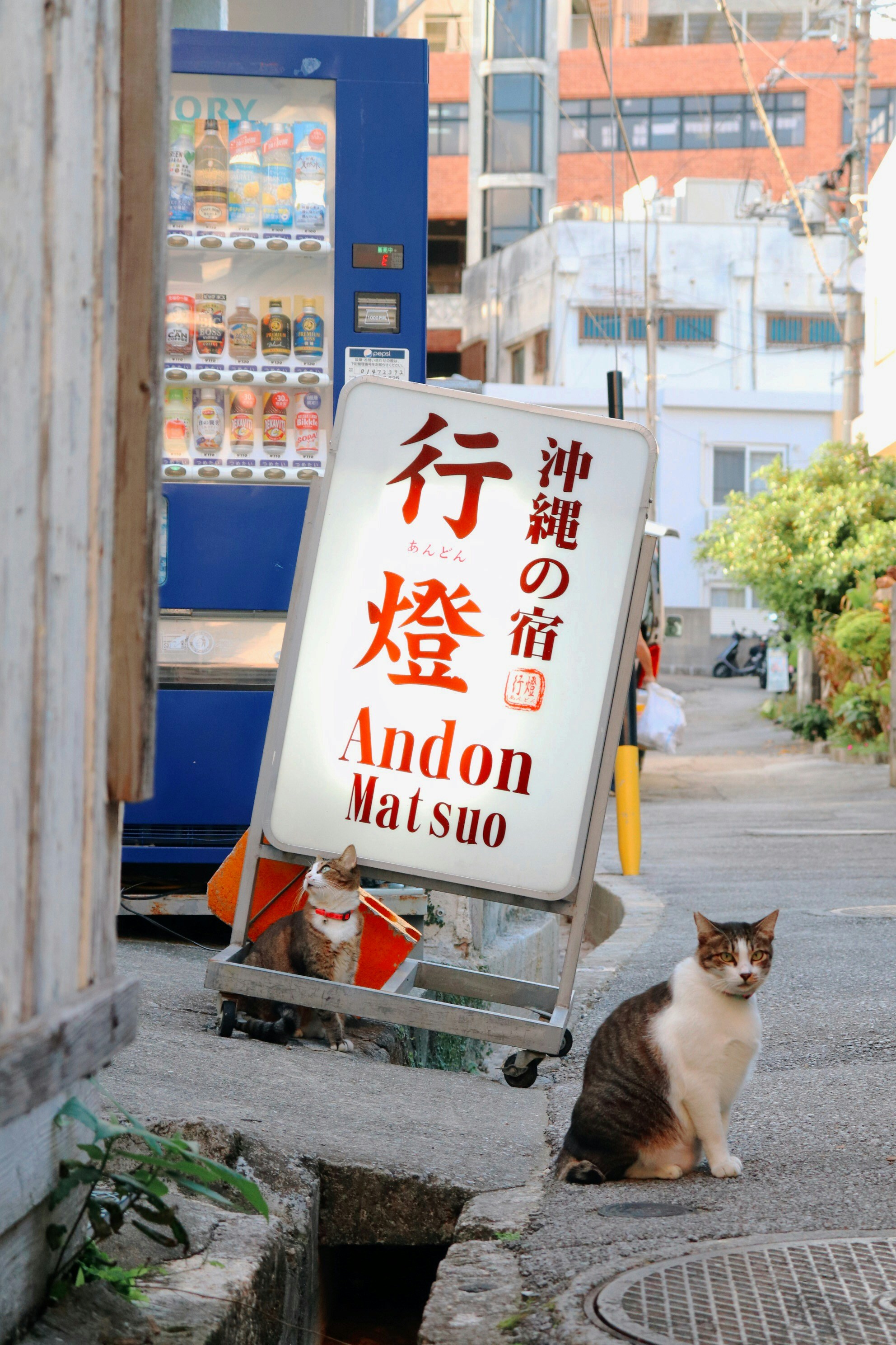 漢字看板の近くに座る猫の写真 Unsplashで見つける文章の無料写真