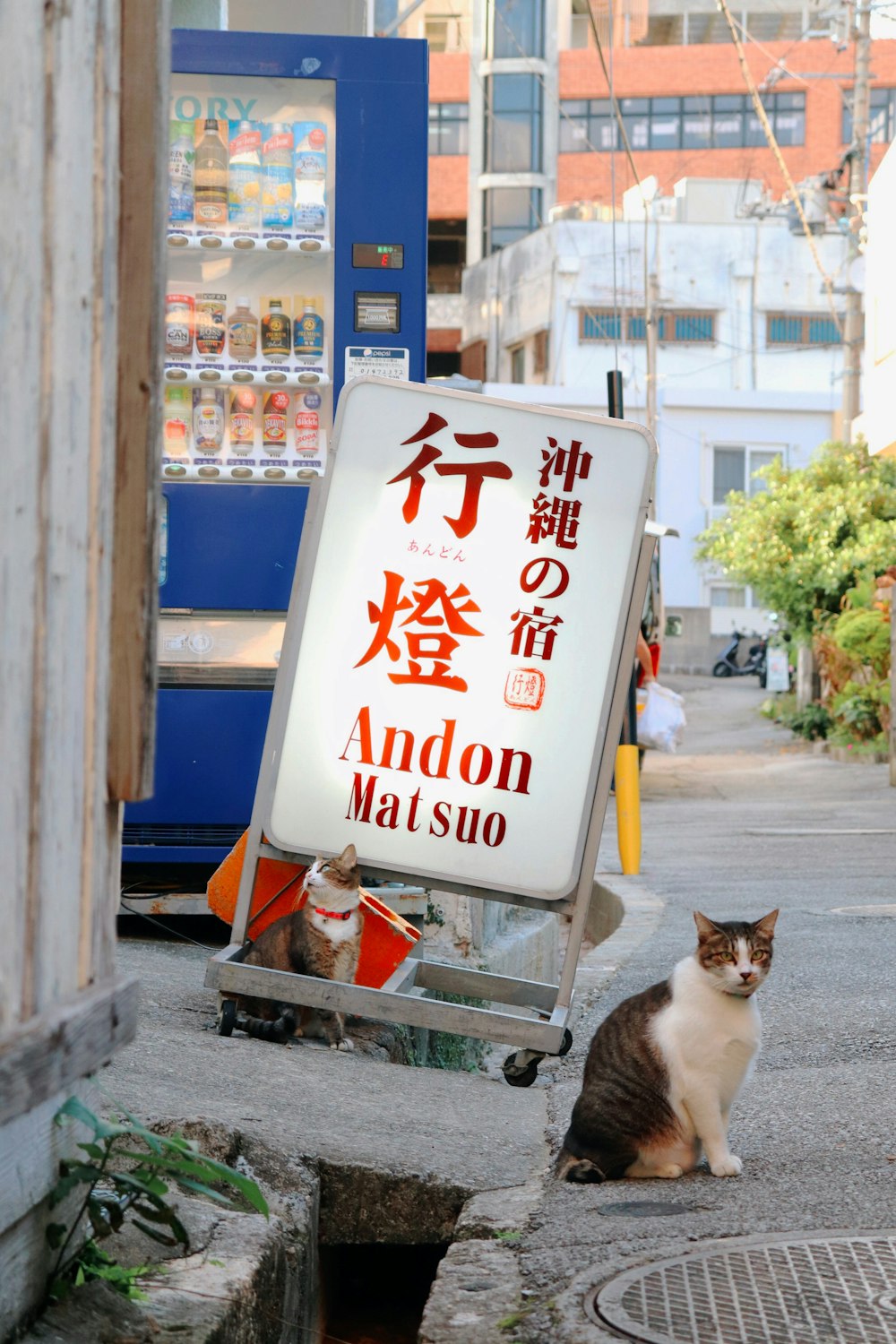 漢字看板の近くに座る猫