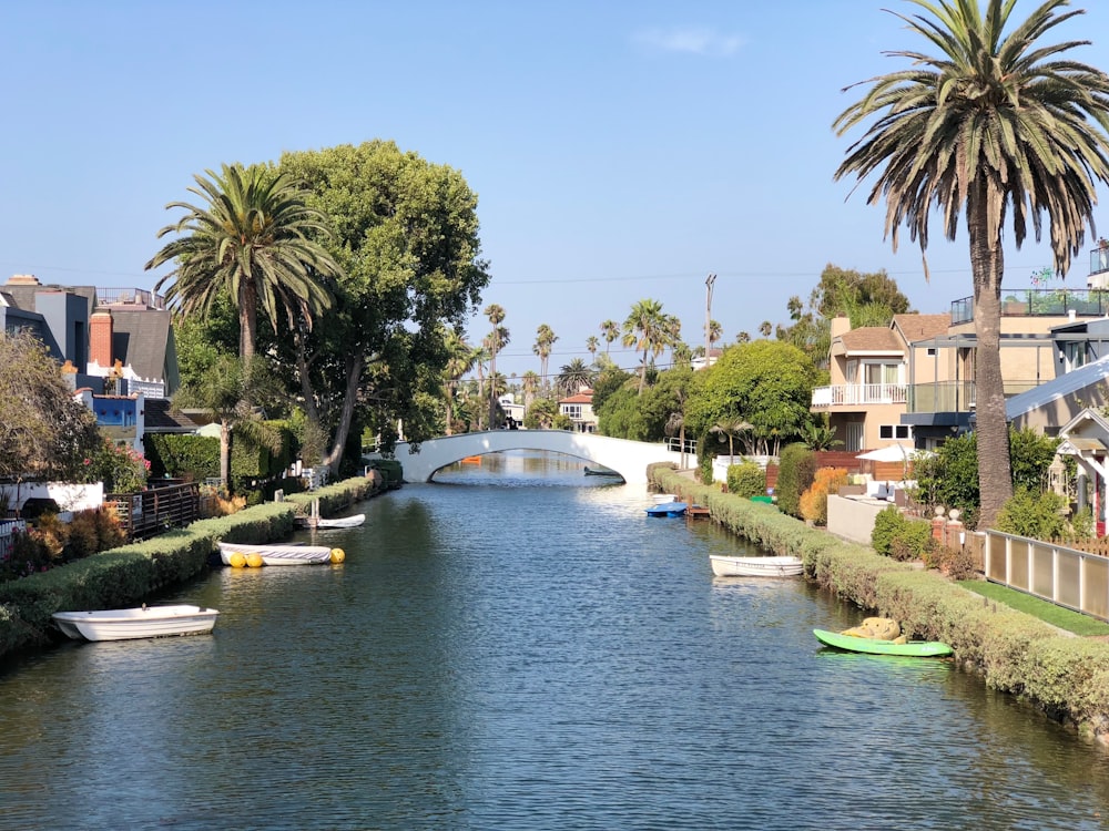 boats on dock during daytime