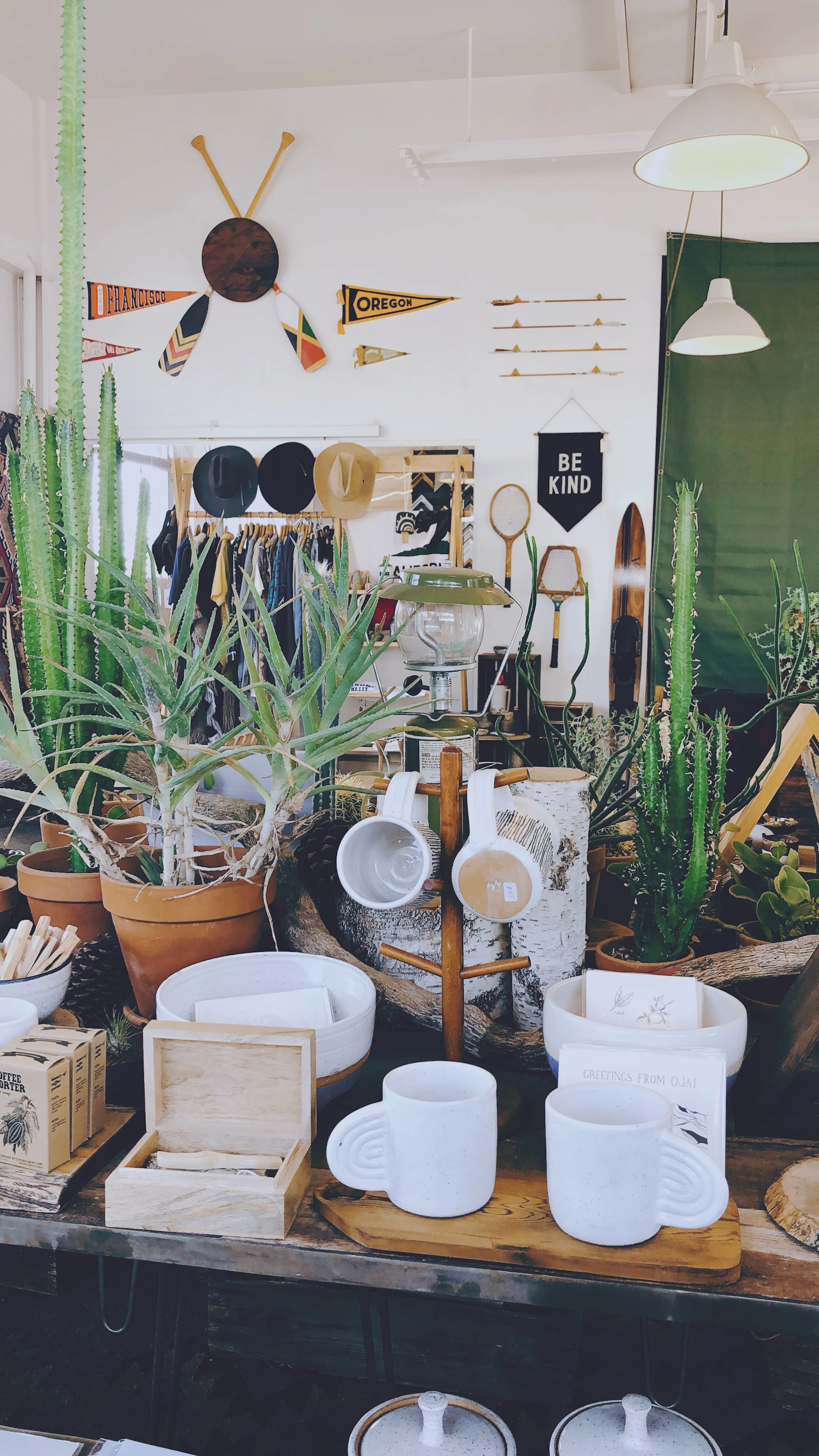 テーブルに並べられた器や植物の商品