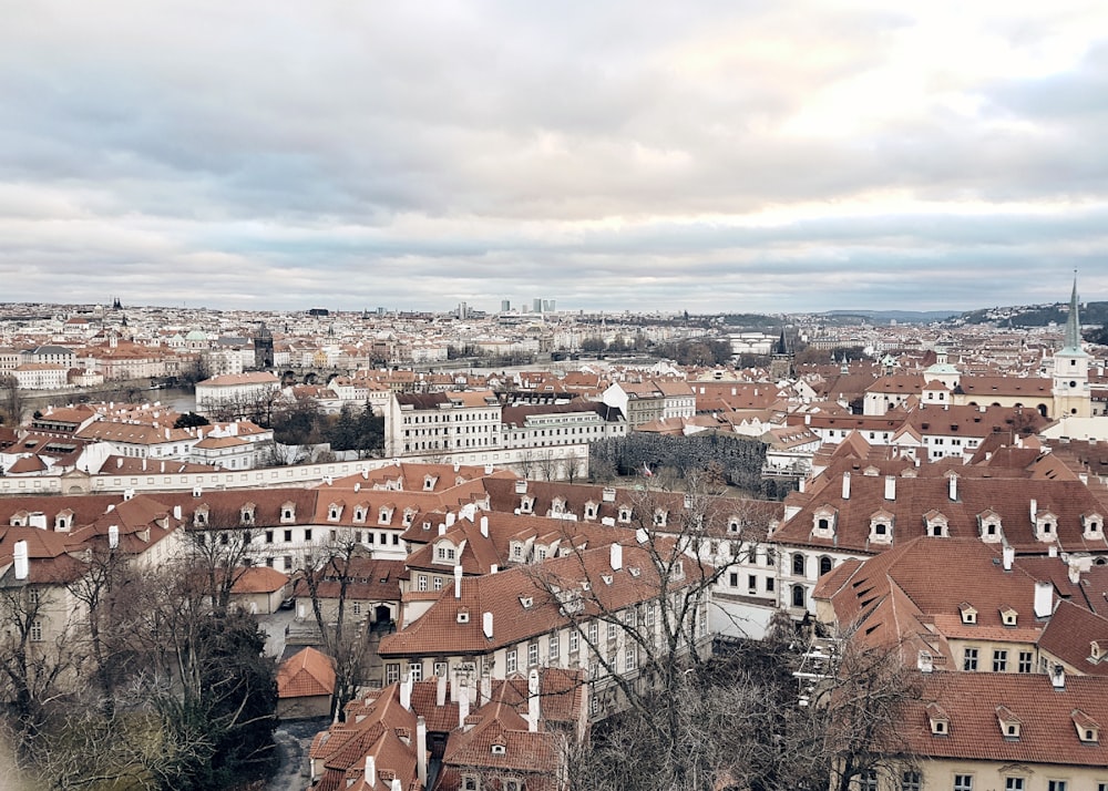 aerial photo of houses