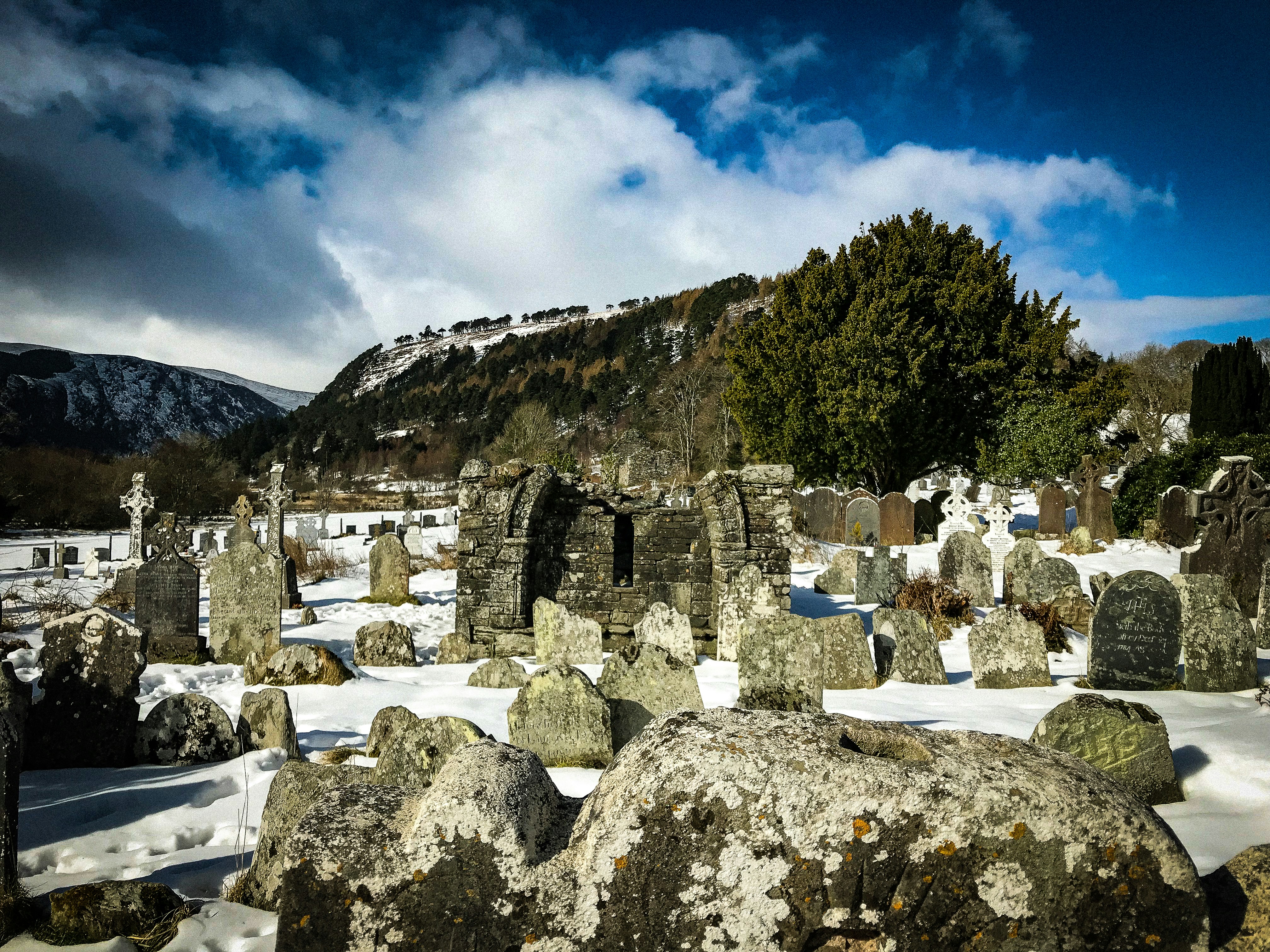 Photo by photosbypedersen