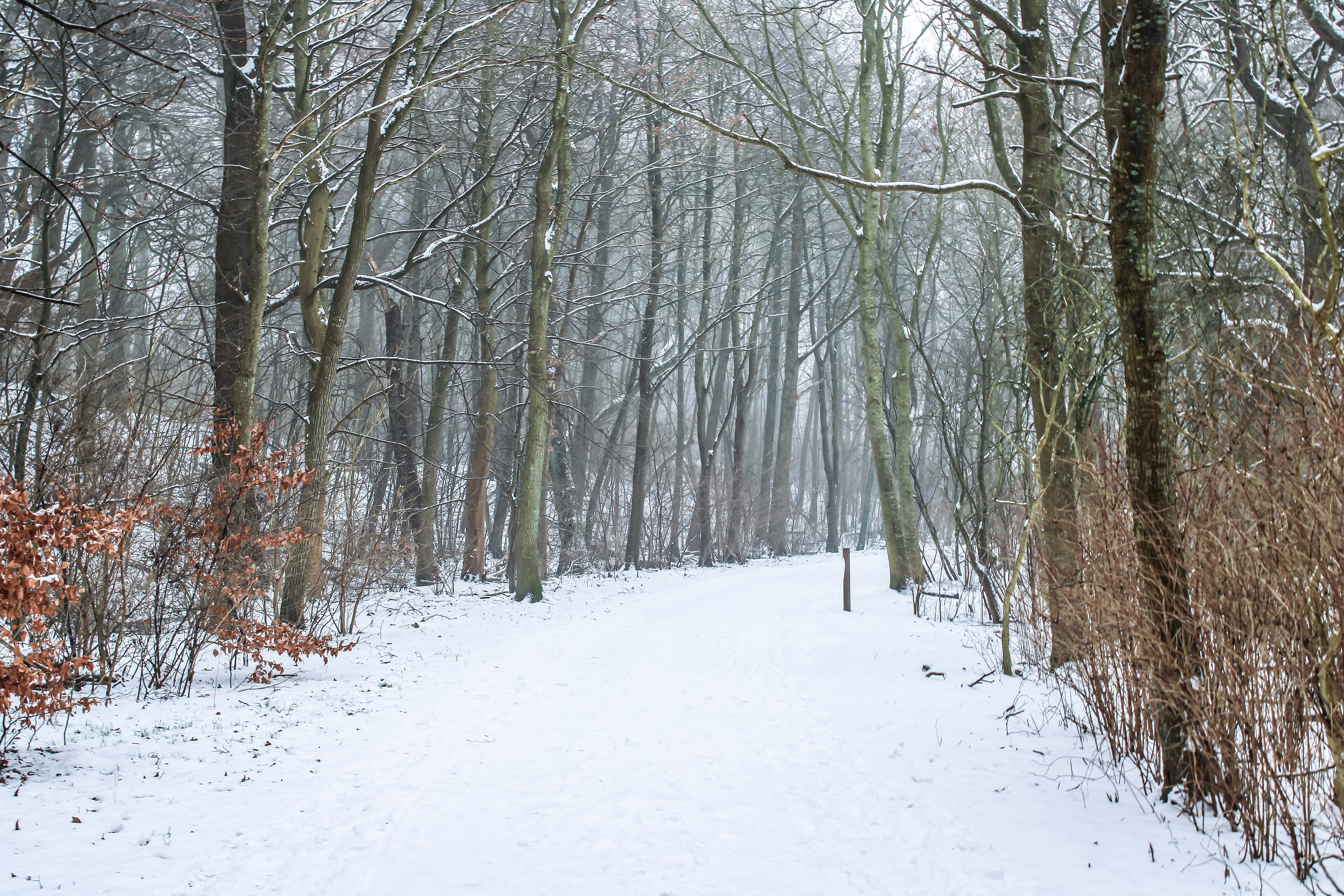 Photo by photosbypedersen