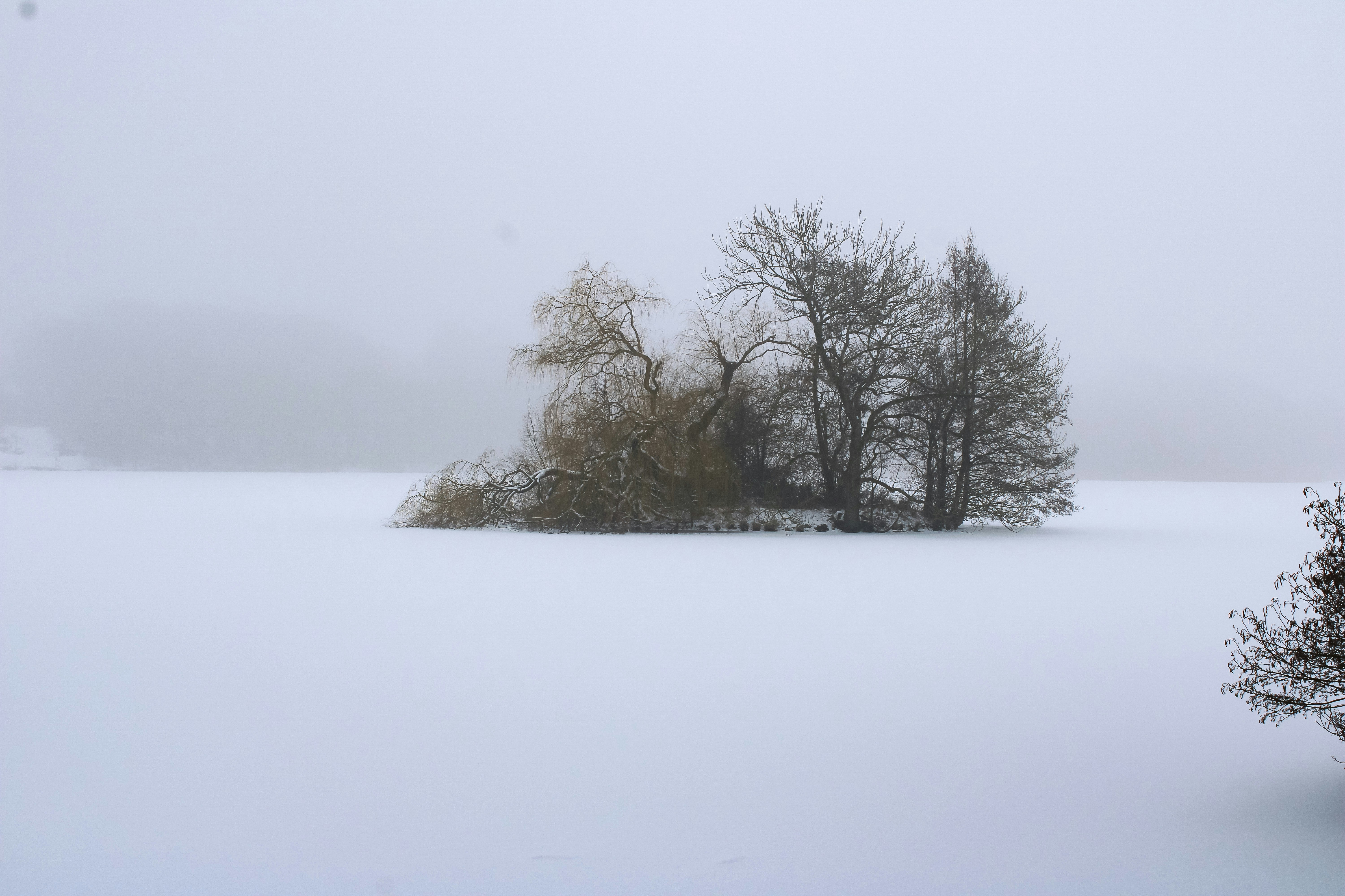 Photo by photosbypedersen