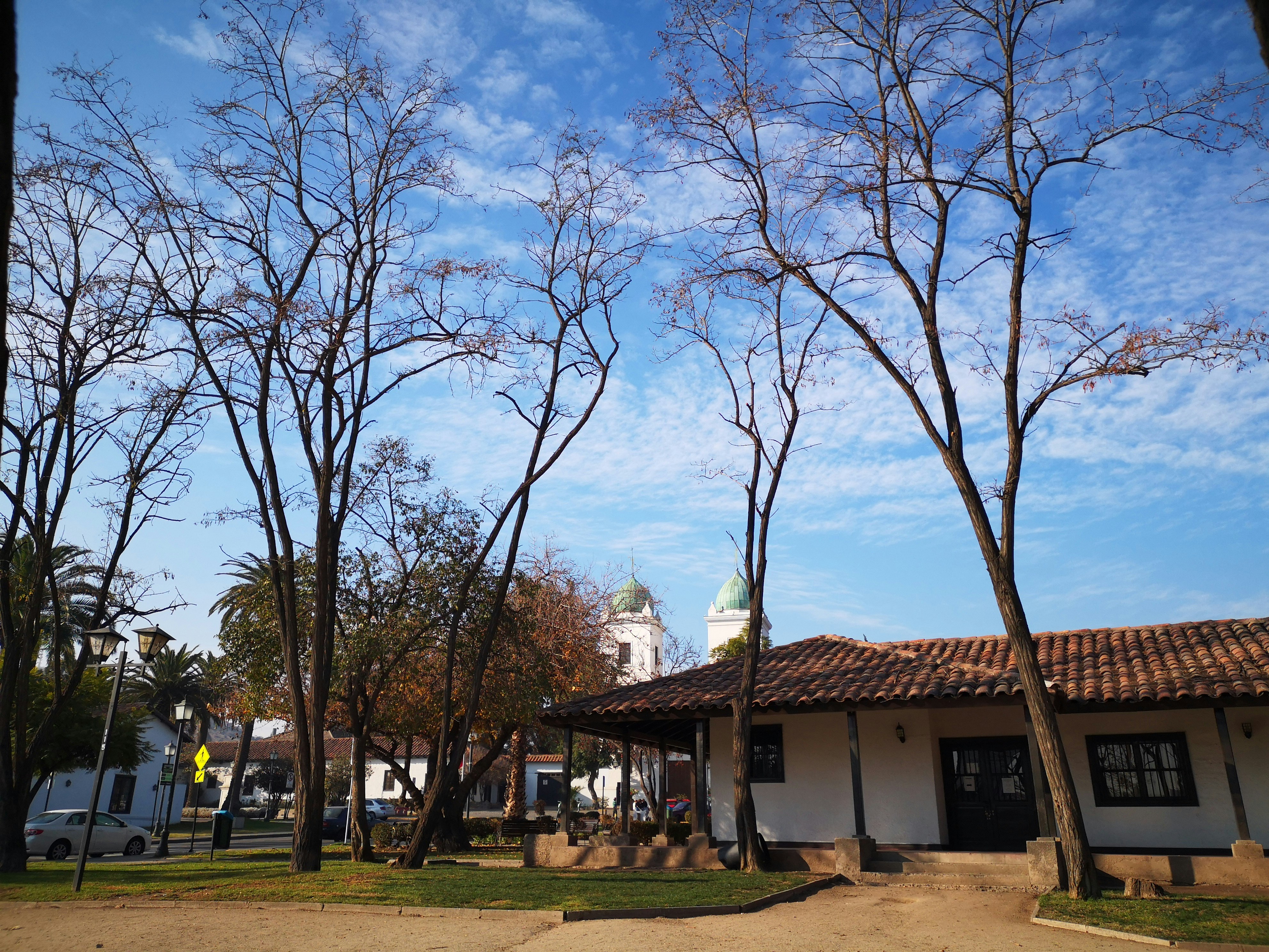 white and brown house