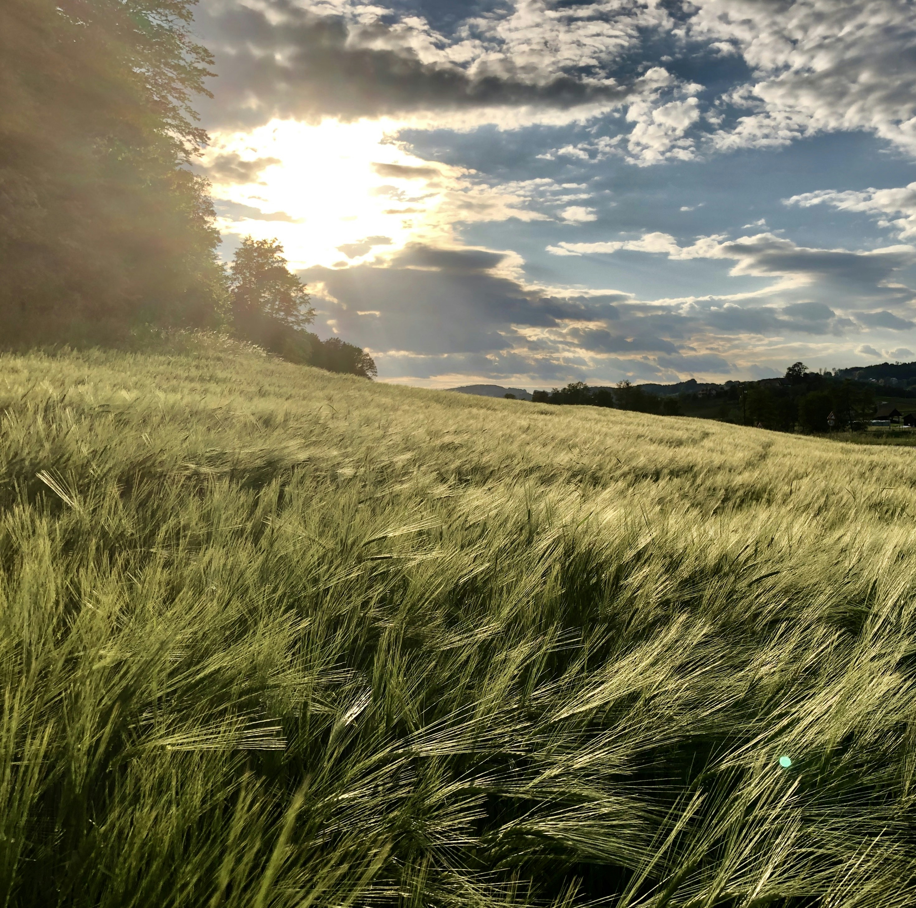 Photo by daviddolenc