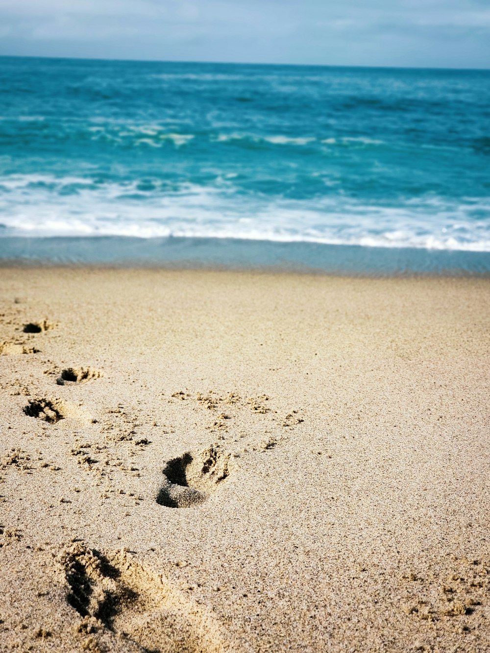 footprints on seashore during daytime
