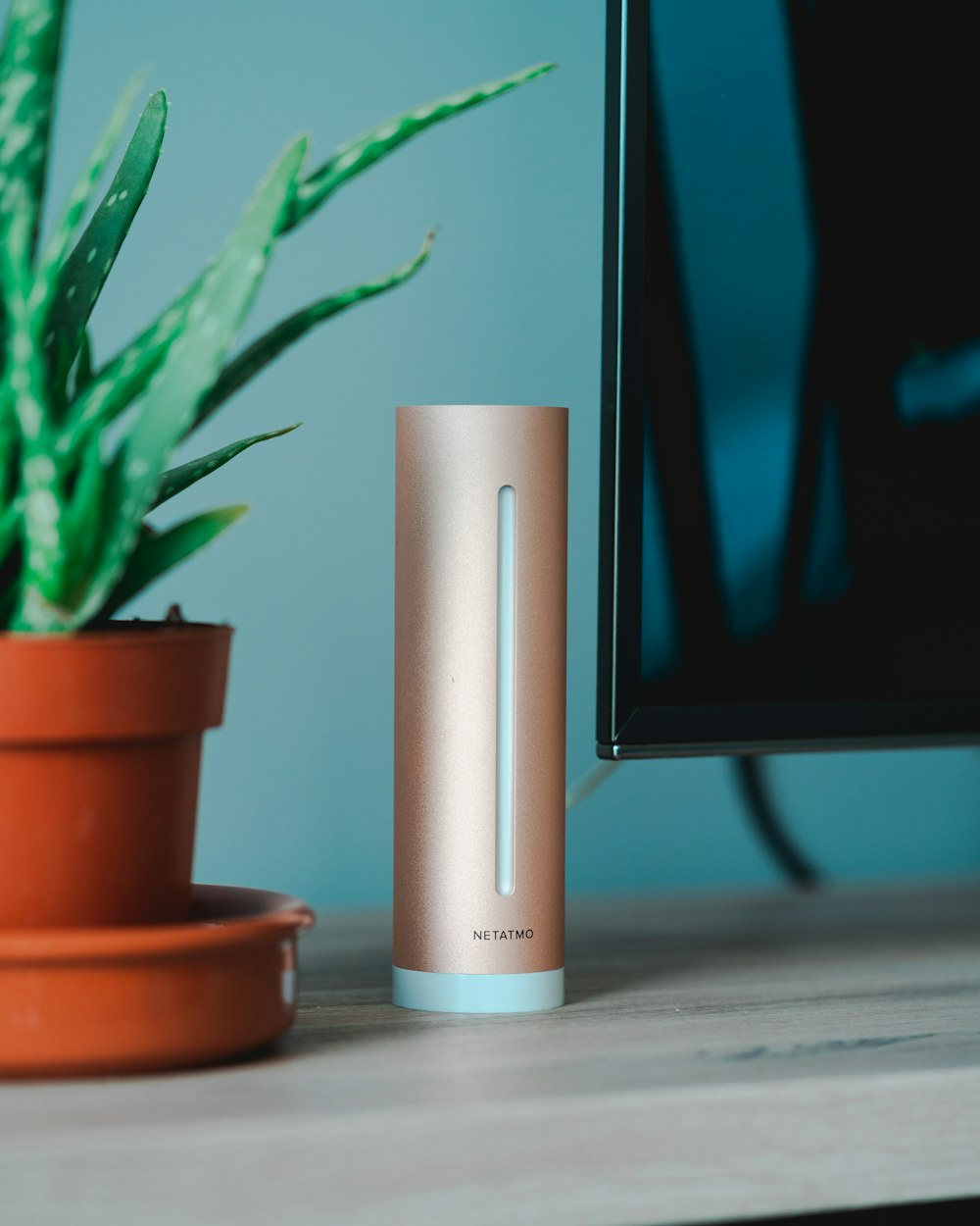 brown and pink portable speaker near TV