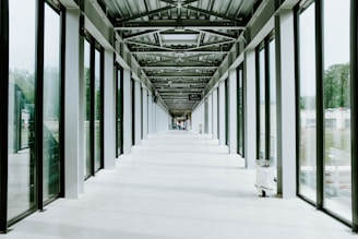 Ambiance shot of the academy’s sleek, minimalist training area bathed in natural light.