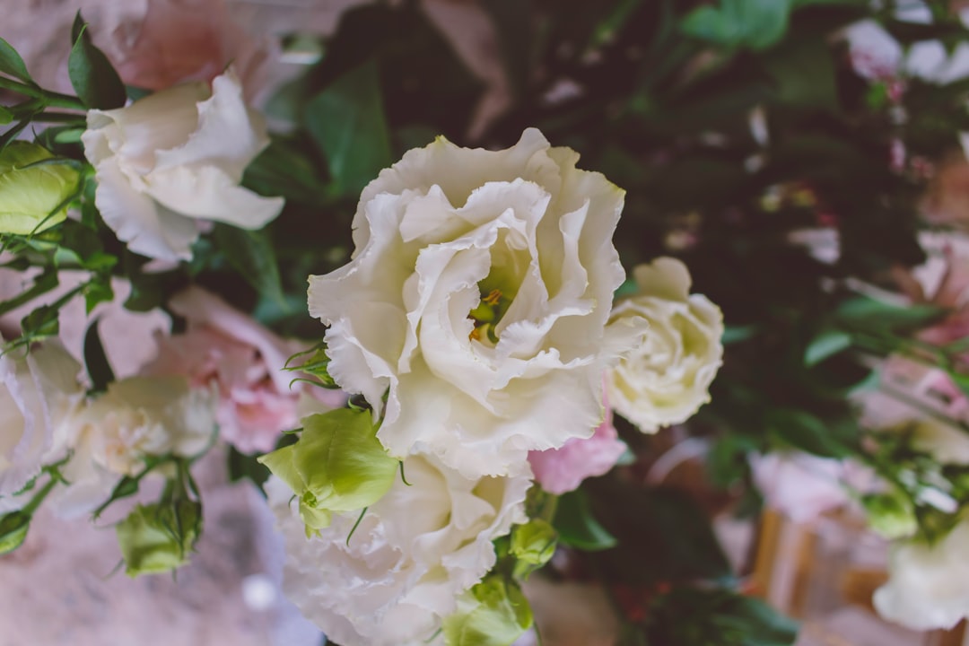 beige petaled flower