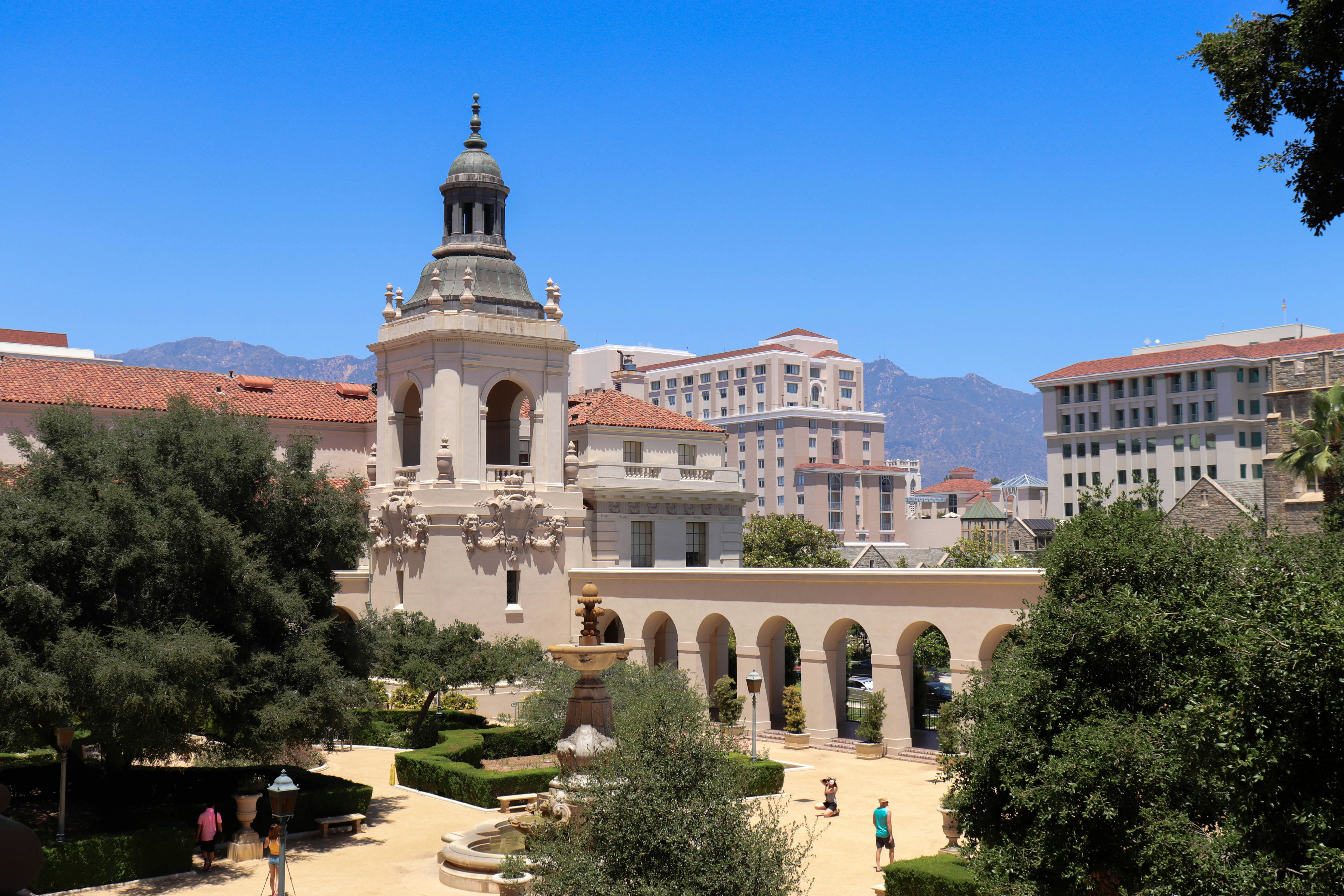 white and brown buildings