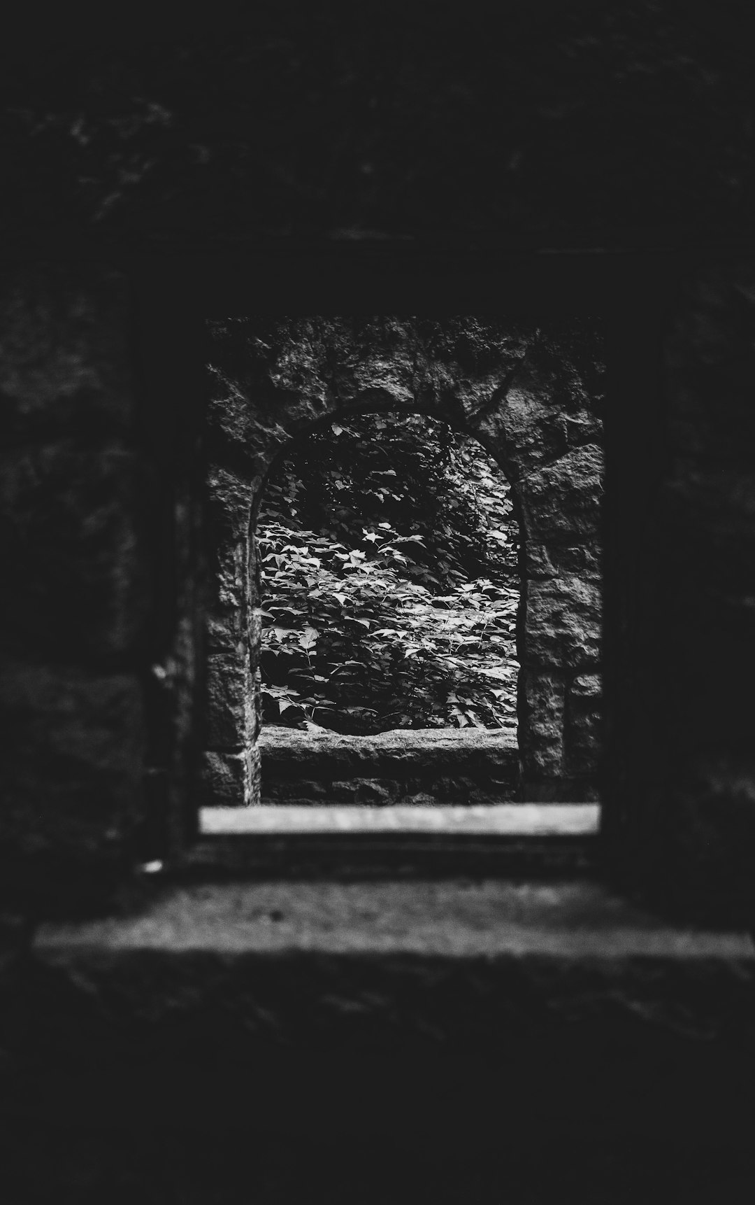 grayscale photography of cave