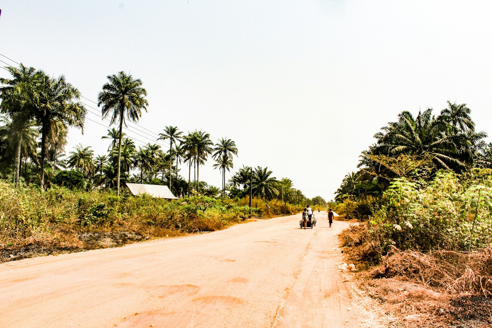 Infrastructure And Essential Services