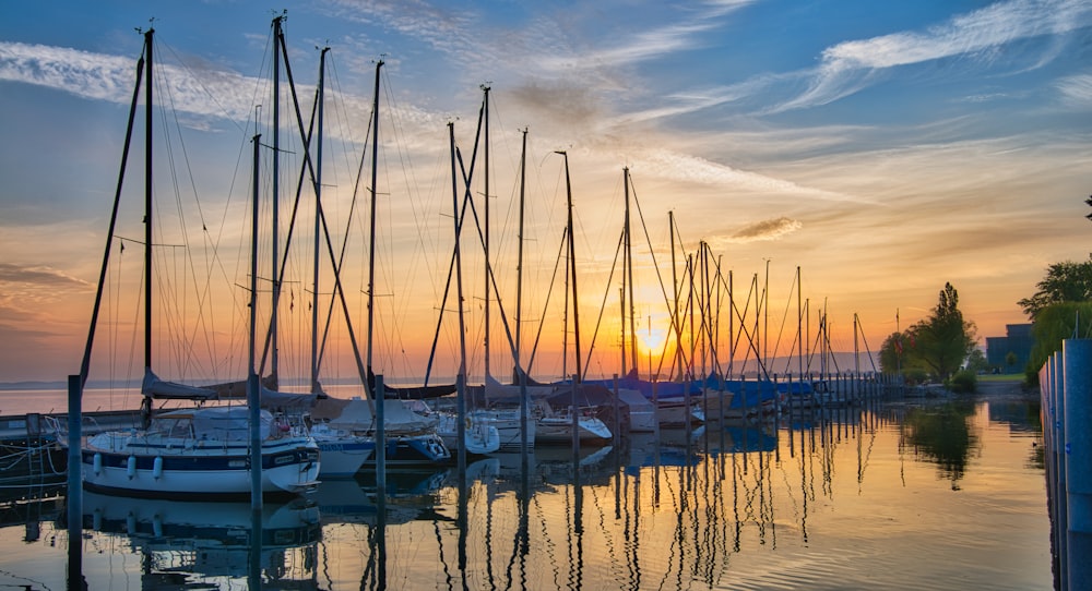 different yachts on sea under sunrise