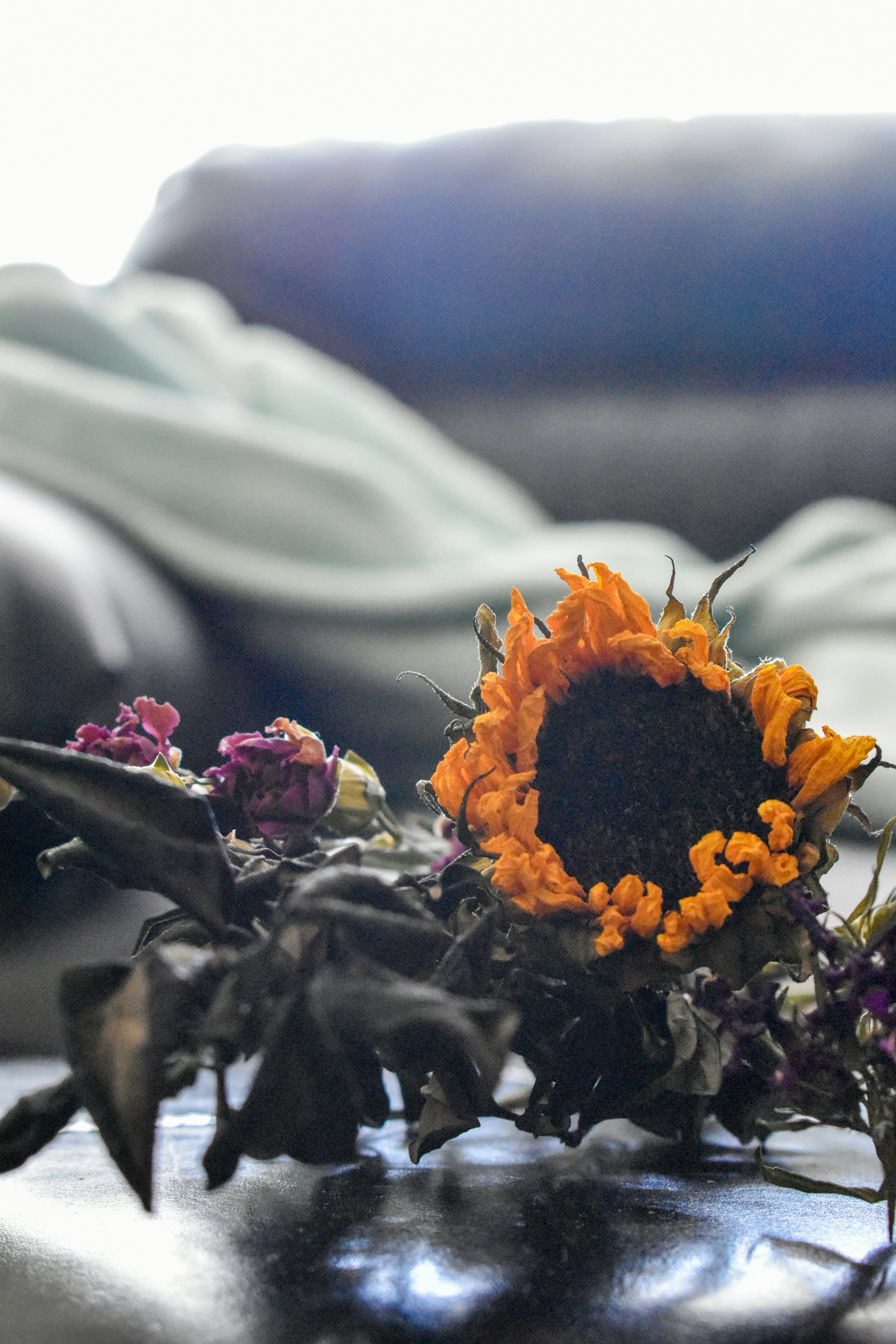 orange sunflower near white fabric