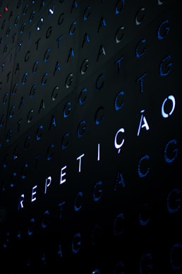 Repeticao logo