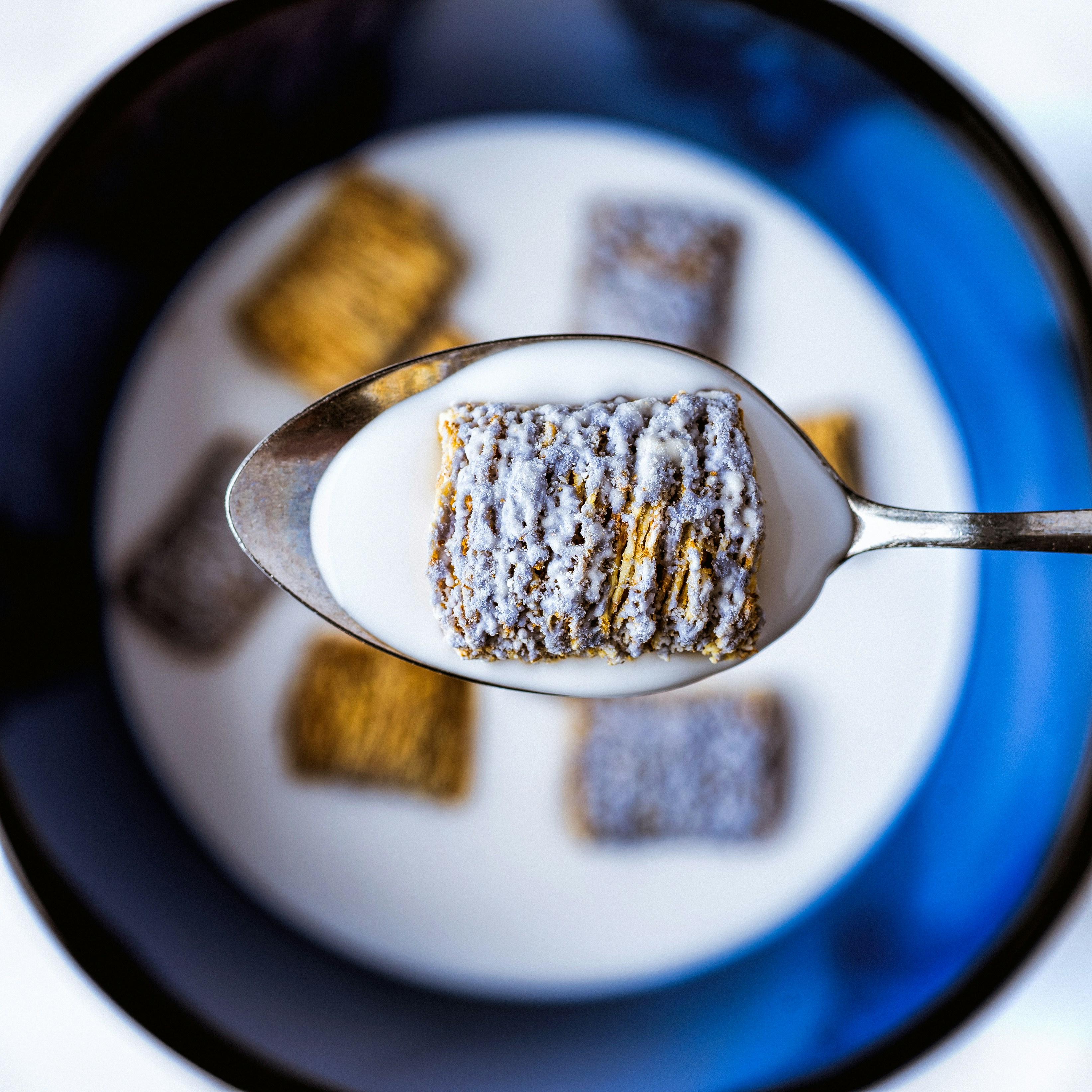 biscuit with milk