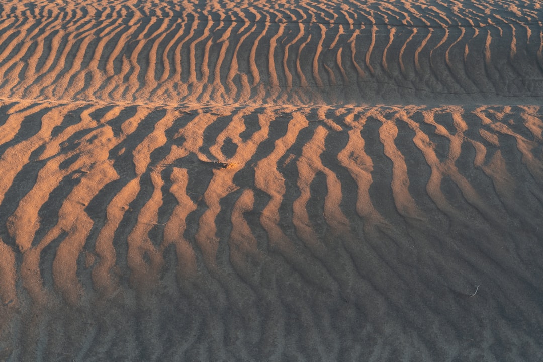 brown sand dunes