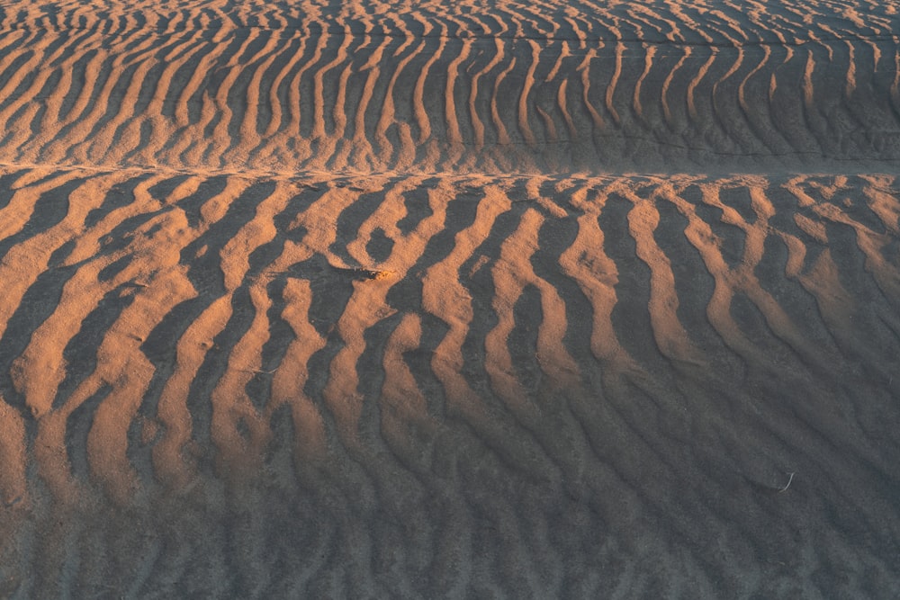brown sand dunes