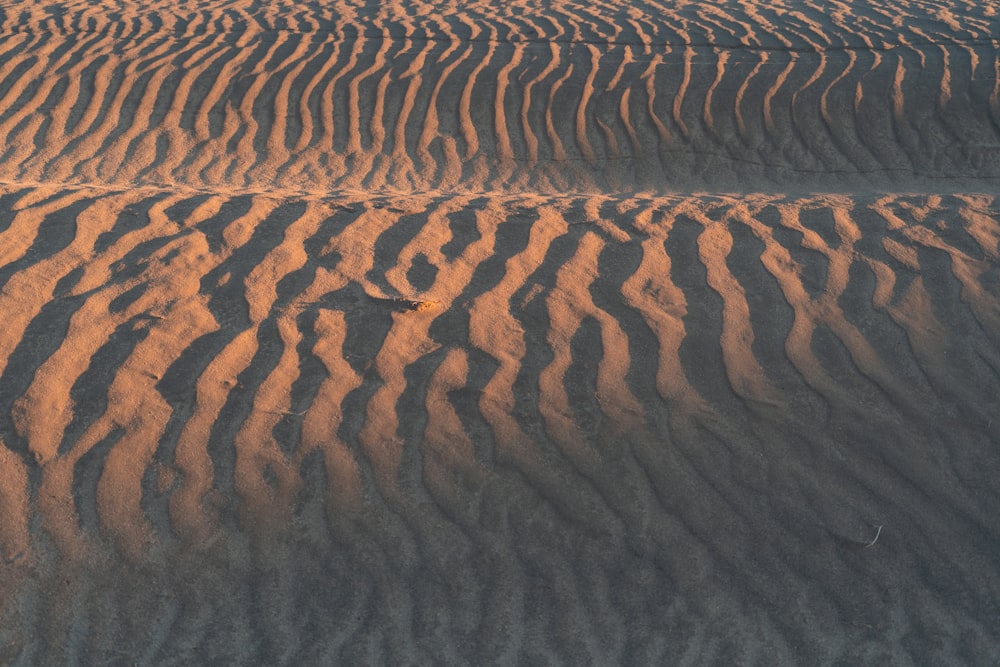 dune di sabbia marrone