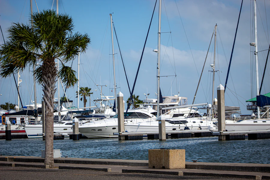 Sailboats moored in the Corpus Christi Marina