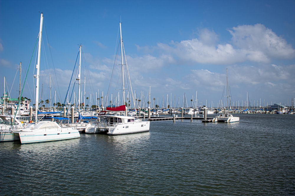 a harbor filled with lots of boats under a blue sky