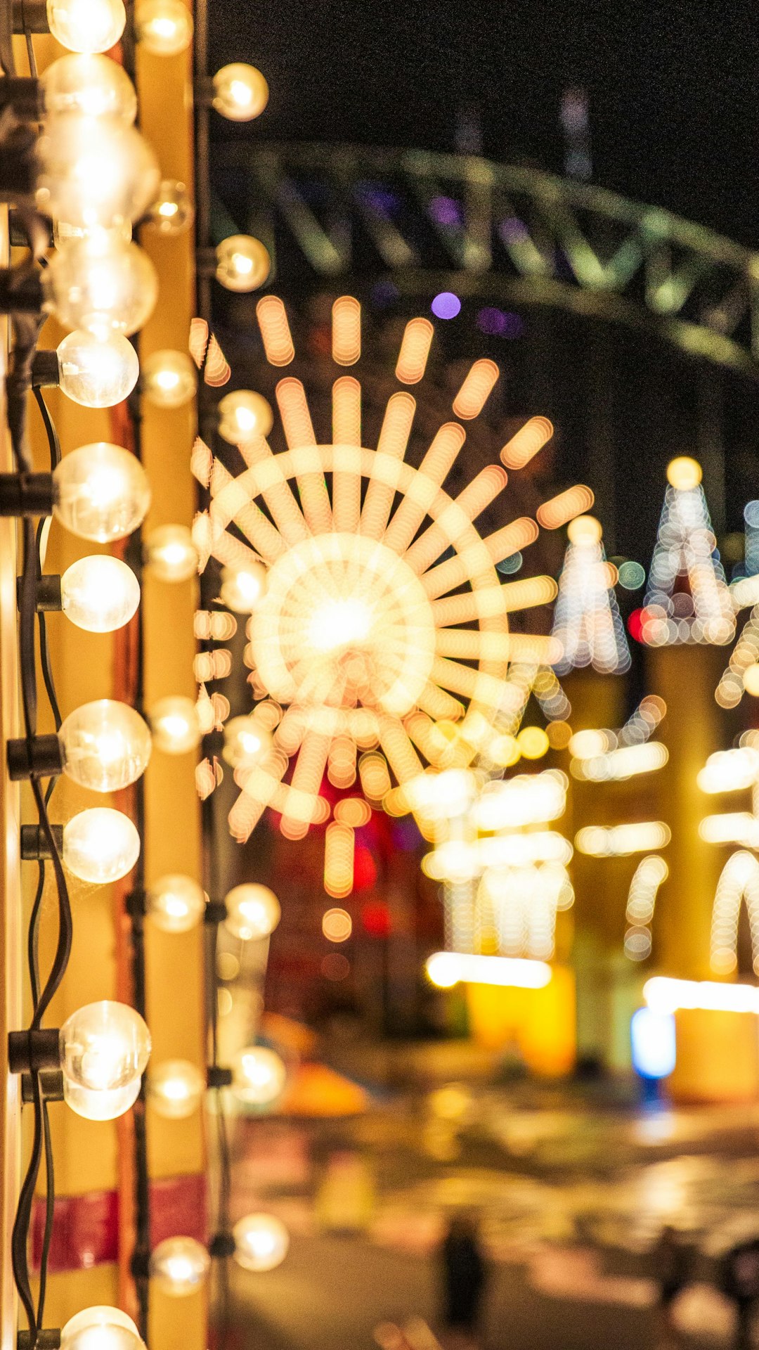 ferris wheel near castle