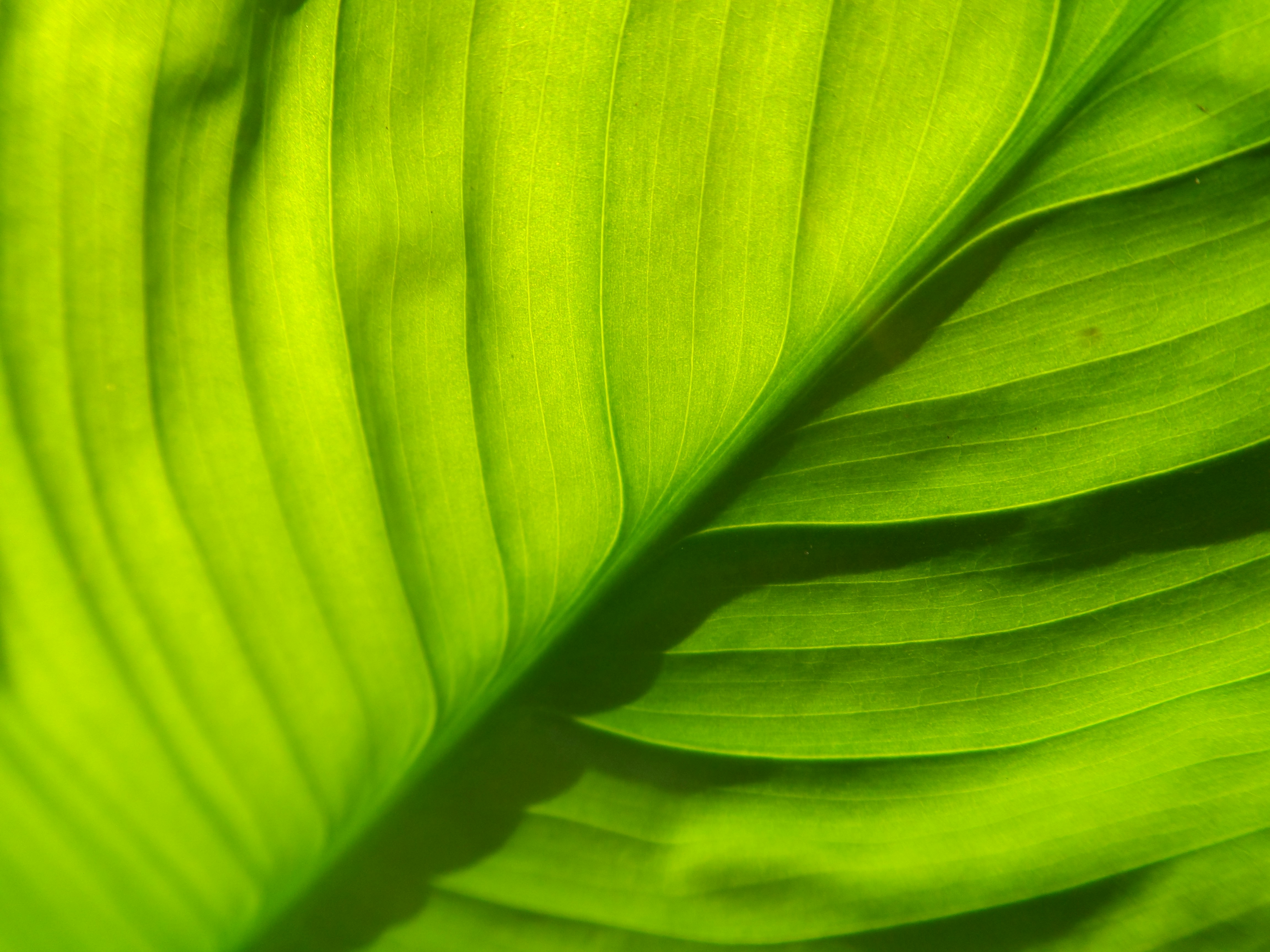 Photo by camila_amaral18