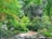 A lush, verdant garden landscape featuring an abundance of green foliage and various shades of plants. There is a paved pathway surrounded by dense trees and shrubs, creating a serene and tranquil atmosphere. A small stream or water feature is bordered by rocks, adding to the natural beauty of the scene.