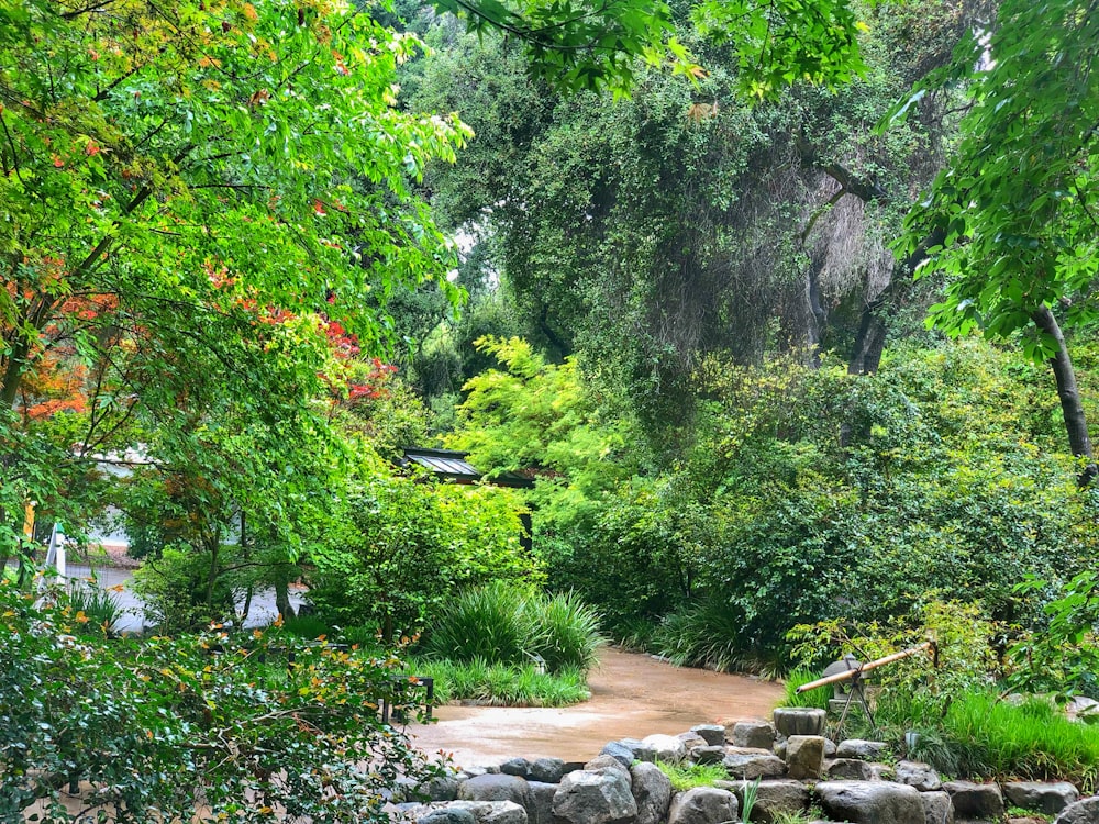 Free Outdoors Image On Unsplash