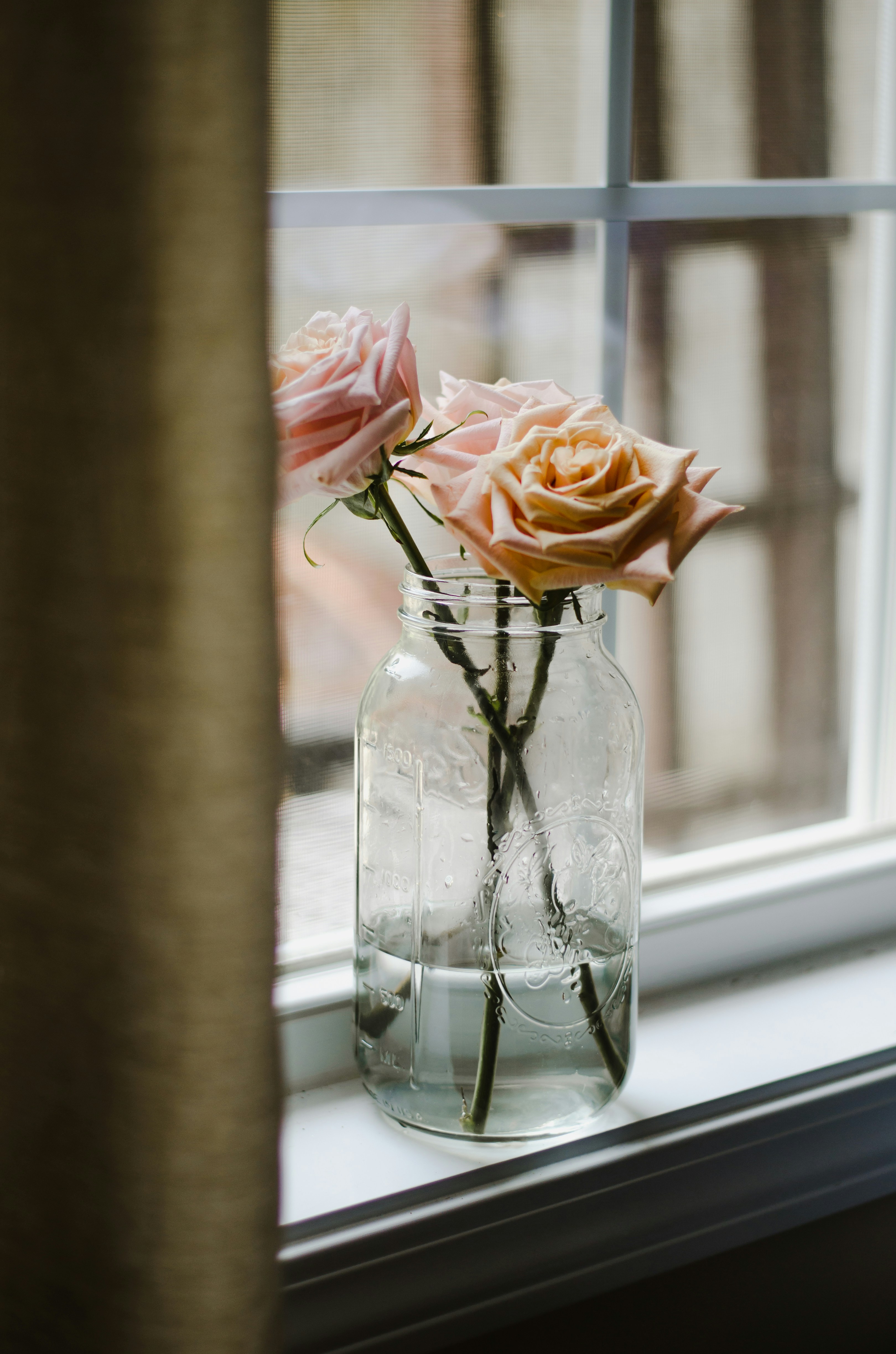 Photo by leilaniangel