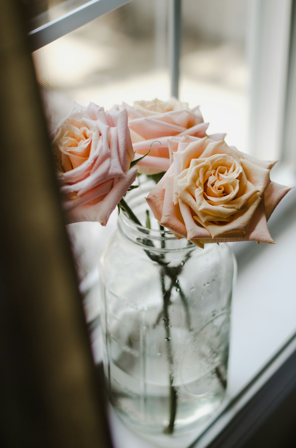selective focus photography of pink rose flowers in clear glass jar beside window