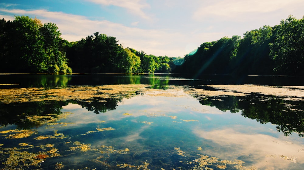 body of water during daytime