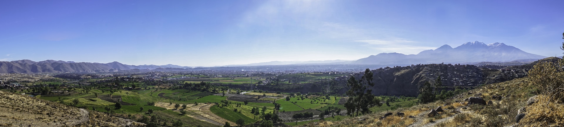 woman wearing yellow long-sleeved dress under white clouds and blue sky during daytime