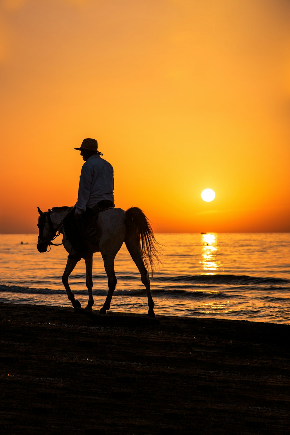 uomo che cavalca a cavallo in riva al mare