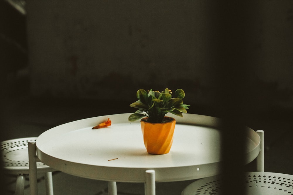 planta verde no vaso marrom da planta na mesa branca redonda