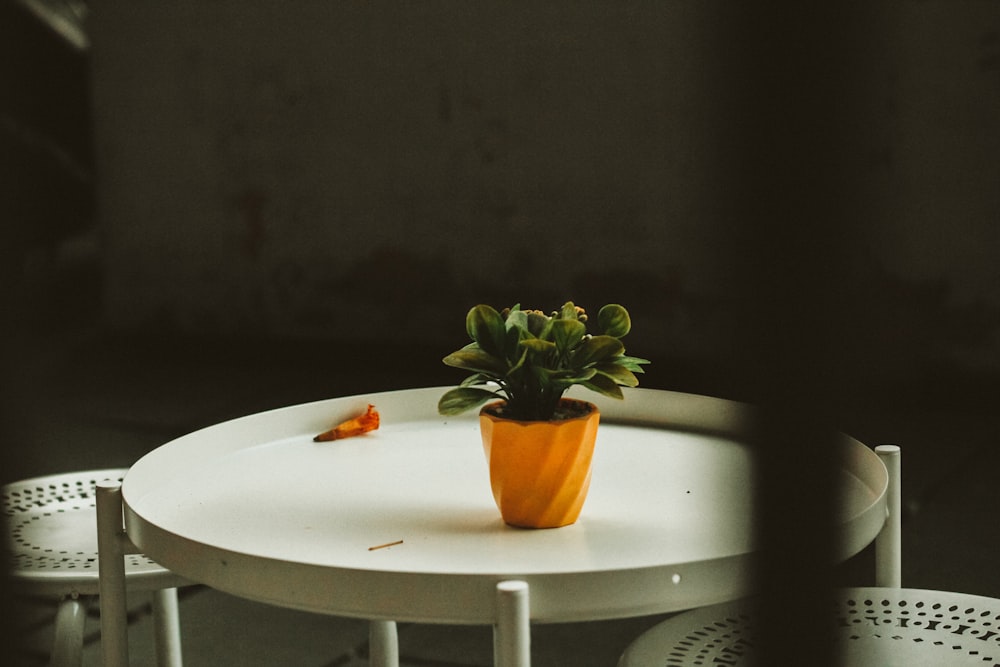 green plant in brown plant pot on round white table