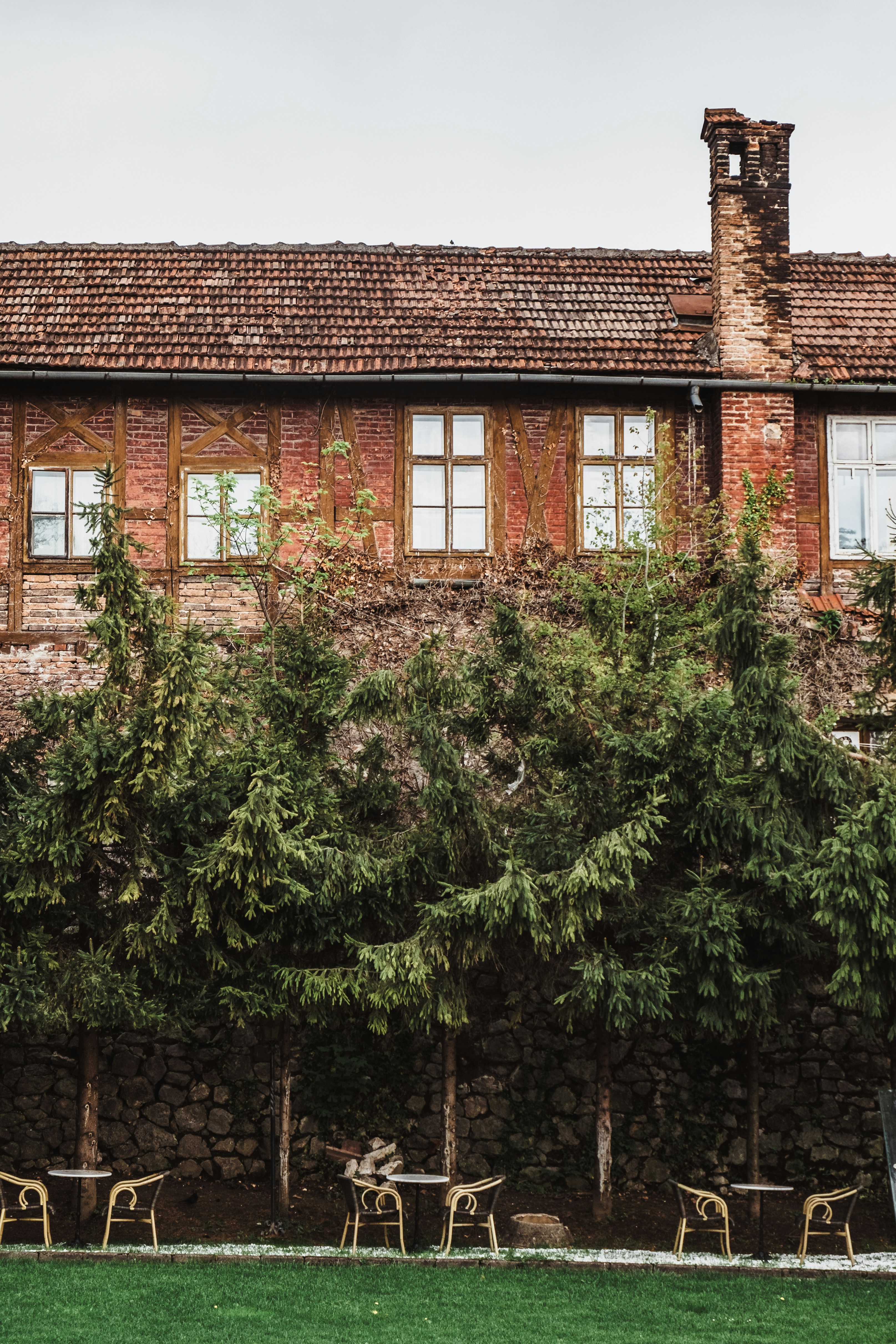green trees beside brown concrete building
