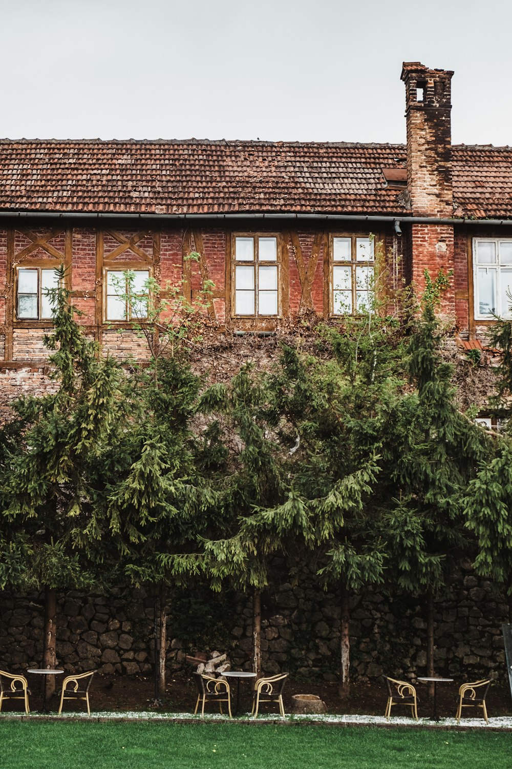 green trees beside brown concrete building