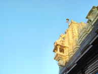 Close-up of intricate carvings on an old temple wall bathed in soft morning light.