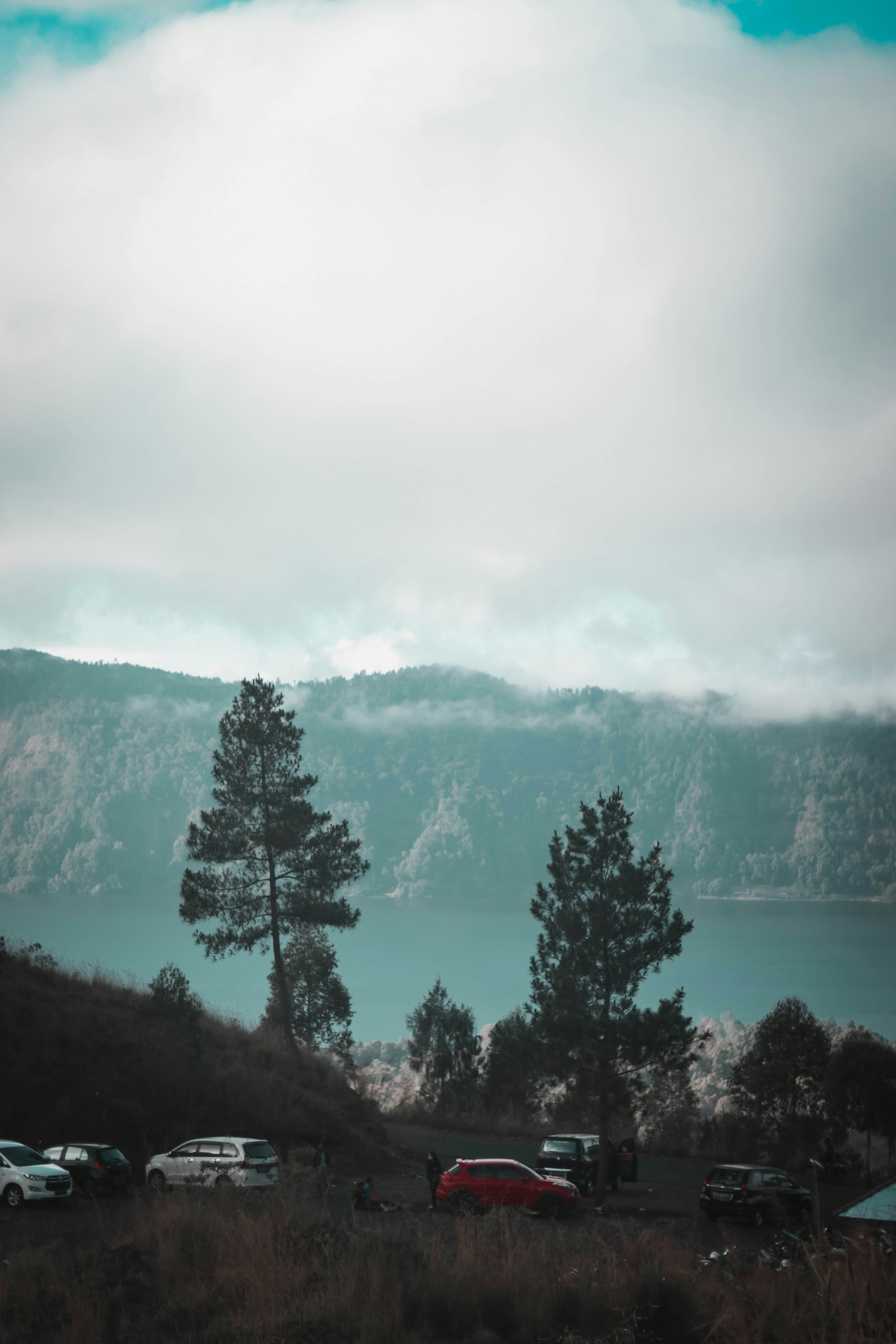 parked vehicles near trees and body of water