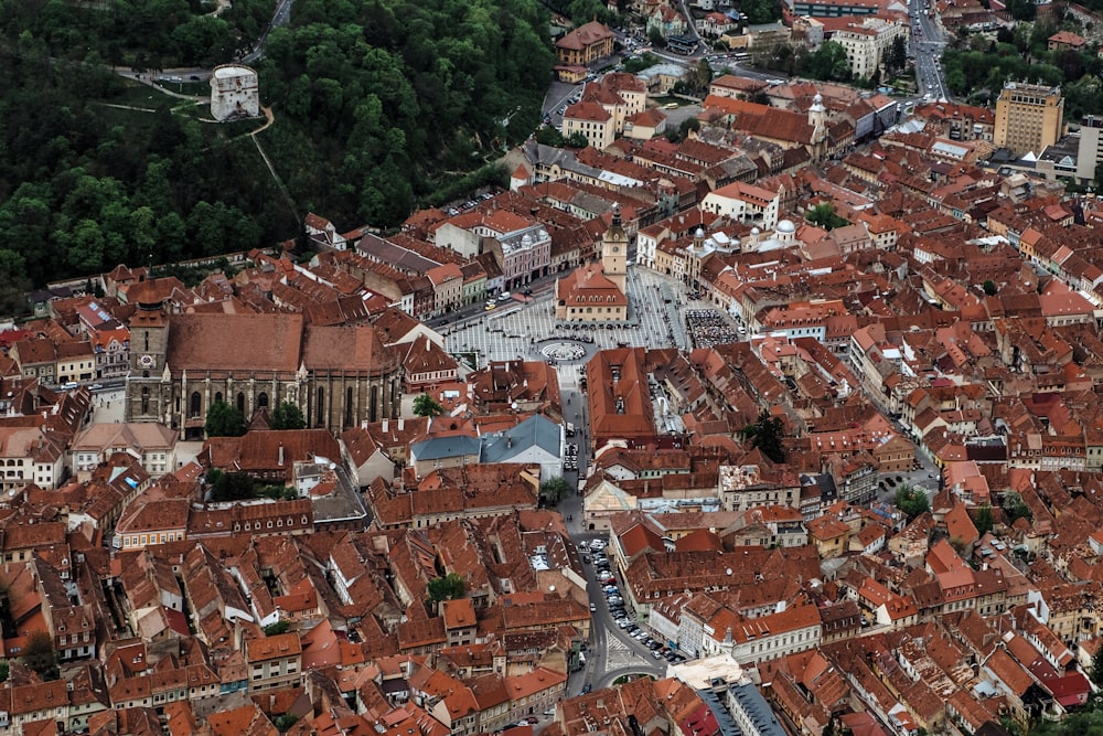 brown roofed houses in valley