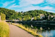 Cyclists enjoying a scenic route along a river with lush greenery.