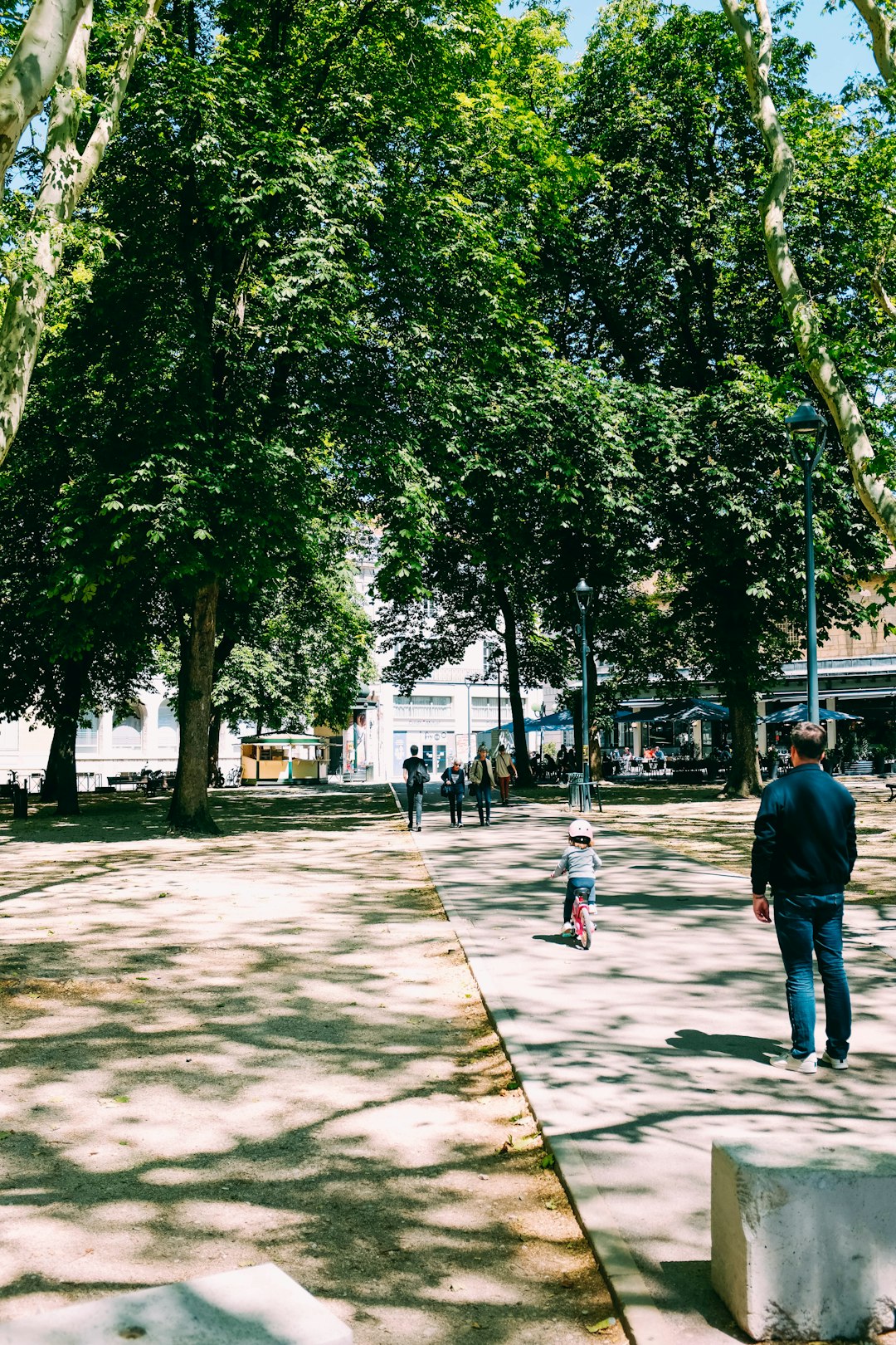 man standing at road near green trees